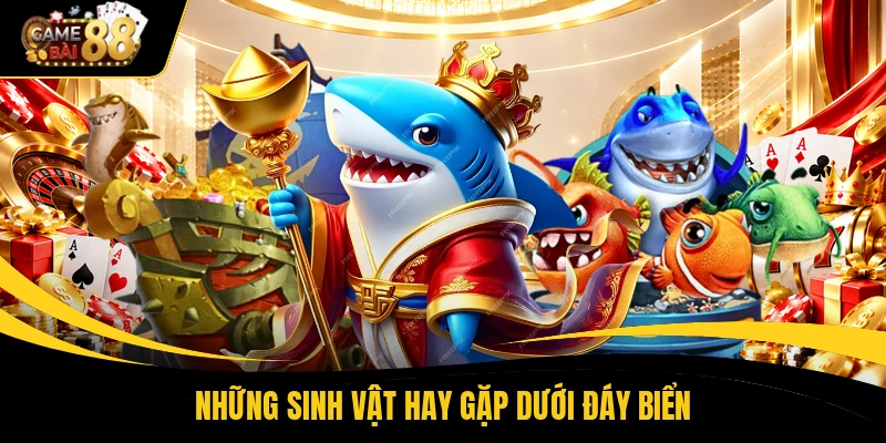 Những sinh vật hay gặp dưới đáy biển